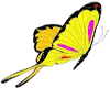 yellowButterfly