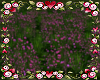*Animated Pink Flowers