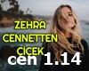 zehra song remix