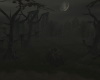 Haunted Woods