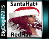 [BD]SantaHat+RedHair