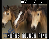 Horse Sounds Ring