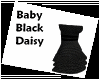 (IZ) Baby Black Daisy