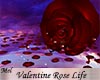 Valentine Rose Life