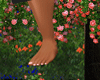 Perfect Feet
