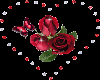 heart shape roses