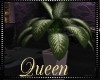 !Q Office Plant