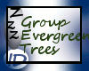 !D Group Evergreen Trees