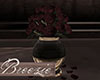 *B* Burlesque Roses