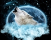 Blue Moon Wolf Aquarium