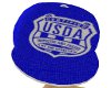 usda fitted (blue)