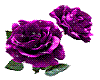 Purple Animated Rose