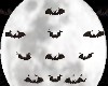 Moon + Bats M/F Animated