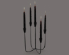 [mn] 5 Black Candles
