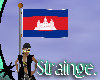 Cambodia FLAG