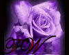 Purple Rose Pillow