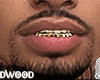 8VZ Asteri Grillz