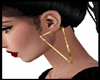 Earrings  Gold