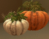 Halloween Pumpkin Duo