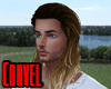Beowulf Blonde Viking