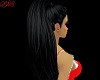 Long Black PonyTail