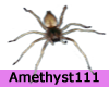 Spider-Amethyst111