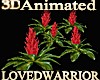 5 Animated Bromeliads 12