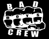 Bad Boy Crew Pic