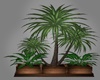 Tropical Plant Boxed
