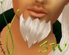 SW~ Tinker Beard PaleAle