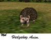 Hedgehog Anim. Riri