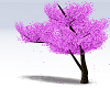 Cherry Tree Pink