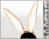 BBR Gold Rabbit Ears