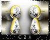 ~C2X~ TearDrop Earrings