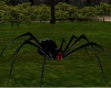 black Slipknot spider