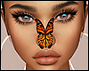 Butterfly Monarch Face