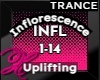 Inflorescence. - Trance