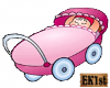 baby Girl Carriage Sign