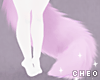 𝓒. Lilac Fluffy Tail