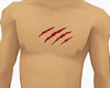 (JQ)chest scar