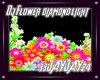 Dj Flower Diamond Light
