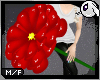 ~Dc) Large Flower [drv]