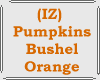 (IZ) Pumpkins Bushel O