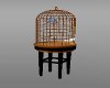 [CL]Ani. Bird Cage