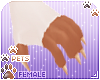 [Pets] Nutmeg | claws