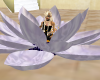 Lavender sitting lotus