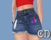 CD Jeans Skirt Butterfly
