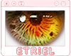 E|  Holi Eyes 08