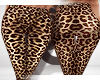 Tights | Leo