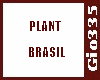 [Gio]PLANT BRASIL
